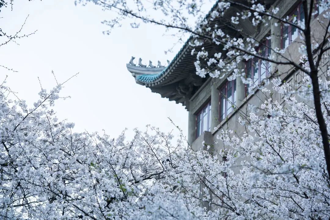 微信图片_20220906165914.jpg 微信图片_20220906165914.jpg